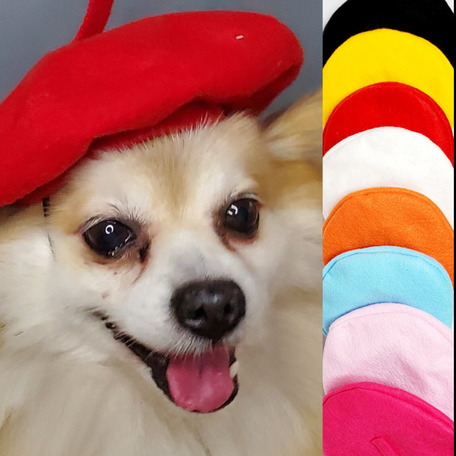 Beret hat red color for dog or cat /Hat for dogs/Beret for Etsy