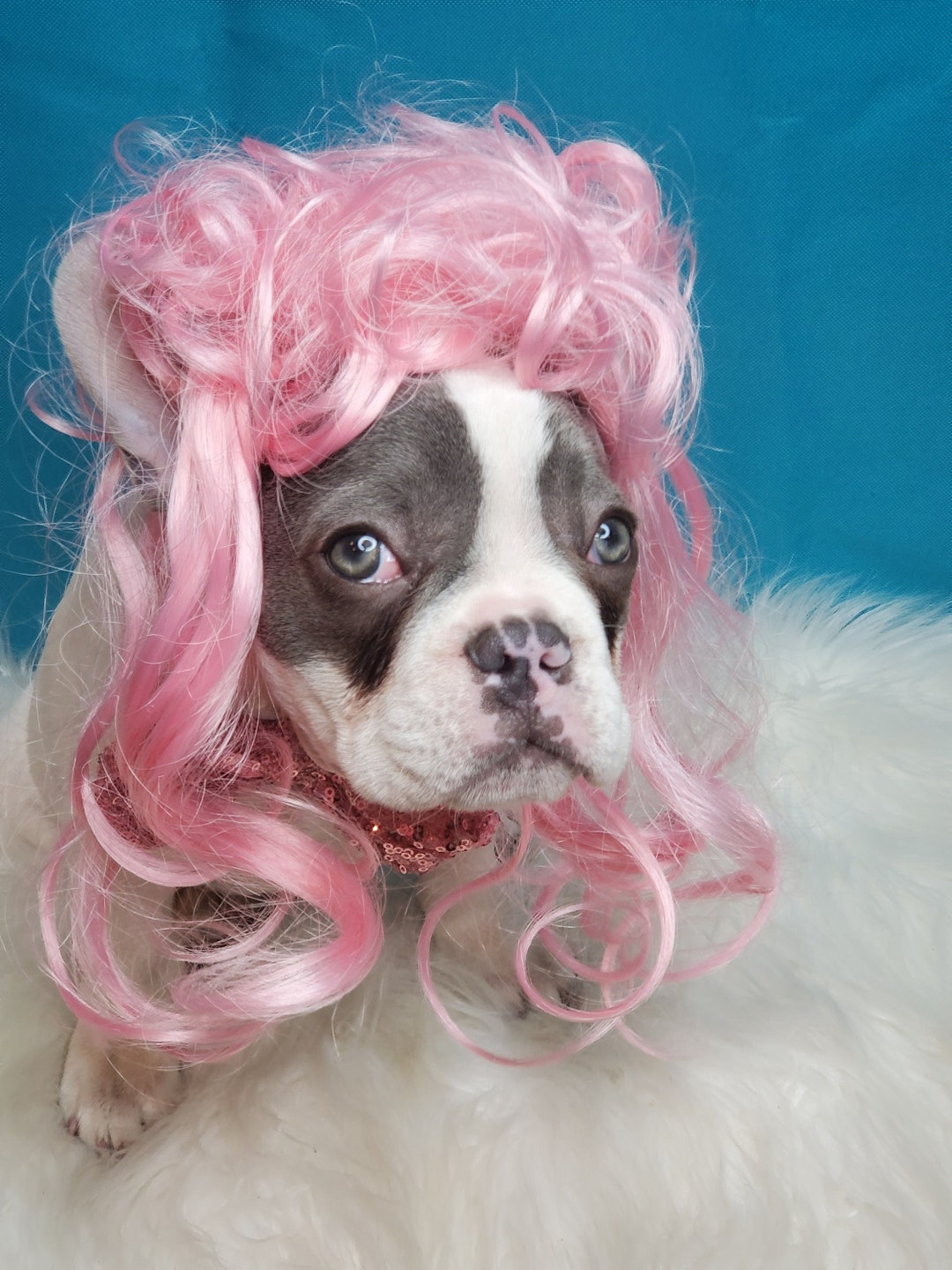 Pink Pet Wig: Adjustable Costume Wig for Dogs Cats