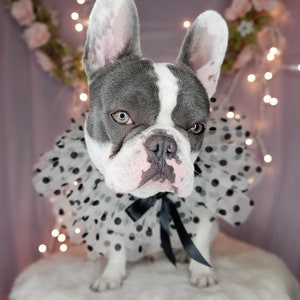 Cute    neck  tie with black color bow for dog or cat