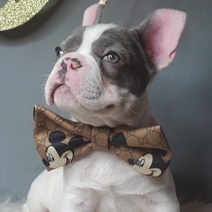 Bow tie  // Dog Halloween Bow //  Costume || Dog Neck Tie || Pet Bow Tie || Dog Clothes/