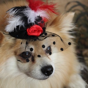 Cute black color mini hat with black red and white color feather and flowers / Small pet hat /Costume for dogs / image 5