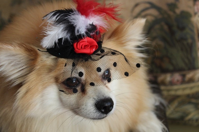 Cute black color mini hat with black red and white color feather and flowers / Small pet hat /Costume for dogs / image 5