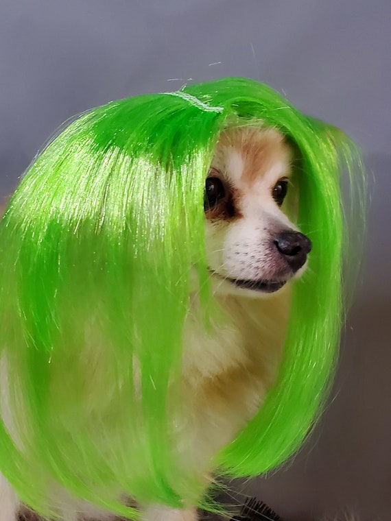 Set Wig and Bow Green Color Wig for Dog or Cat - Etsy Set Wig and Bow Green Color Wig for Dog or Cat - Etsy