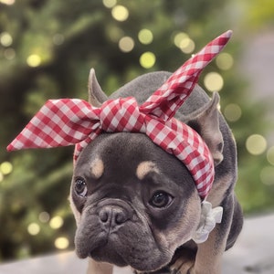 Headband  for dog or cat /headband for dogs/Pet gift/Costume for dog / Cute pet accessories /Cute puppy gift /Frenchie costume /