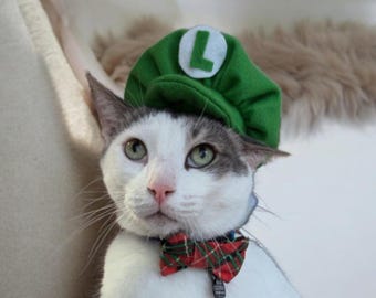 Mario Luigi Wario Waluigi Kapelusz Cat, regulowany kostium