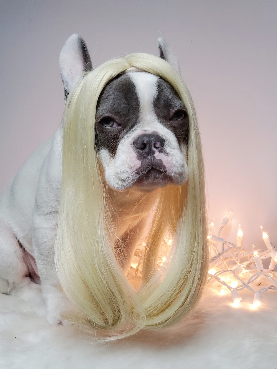 Trump Style Hunde Perücke - Lustige Tierverkleidung Für Halloween & Partys