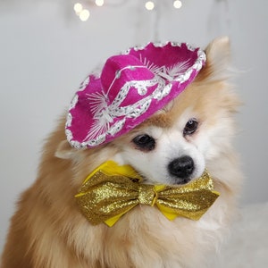 Set listing Cute sombrero hat  and  bow tie for dog or cat