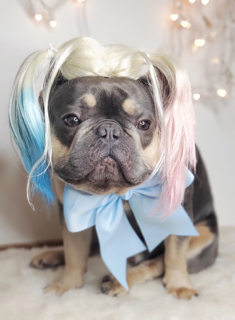 Harley quinn dog wig with Pony tails /Cute pet wig for dog or cat / Halloween pet wig / Costume dog wig /Dog costume / image 1