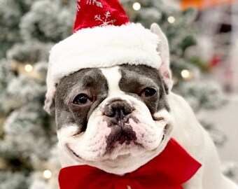 Christmas  Santa  hat   with neck  bow  tie for  large size dog the listing is for the set