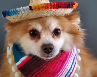 Set  sombrero hat  and bandanna scarf    for dog or cat /Halloween dog costume/