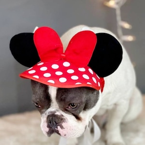 Mini mouse hat for dog /dog costume /Halloween dog costume/