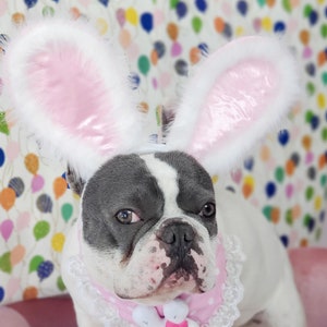 Easter Bunny headband for dog or cat /Bunny dog hat / Bunny dogs costume/ imagem 6