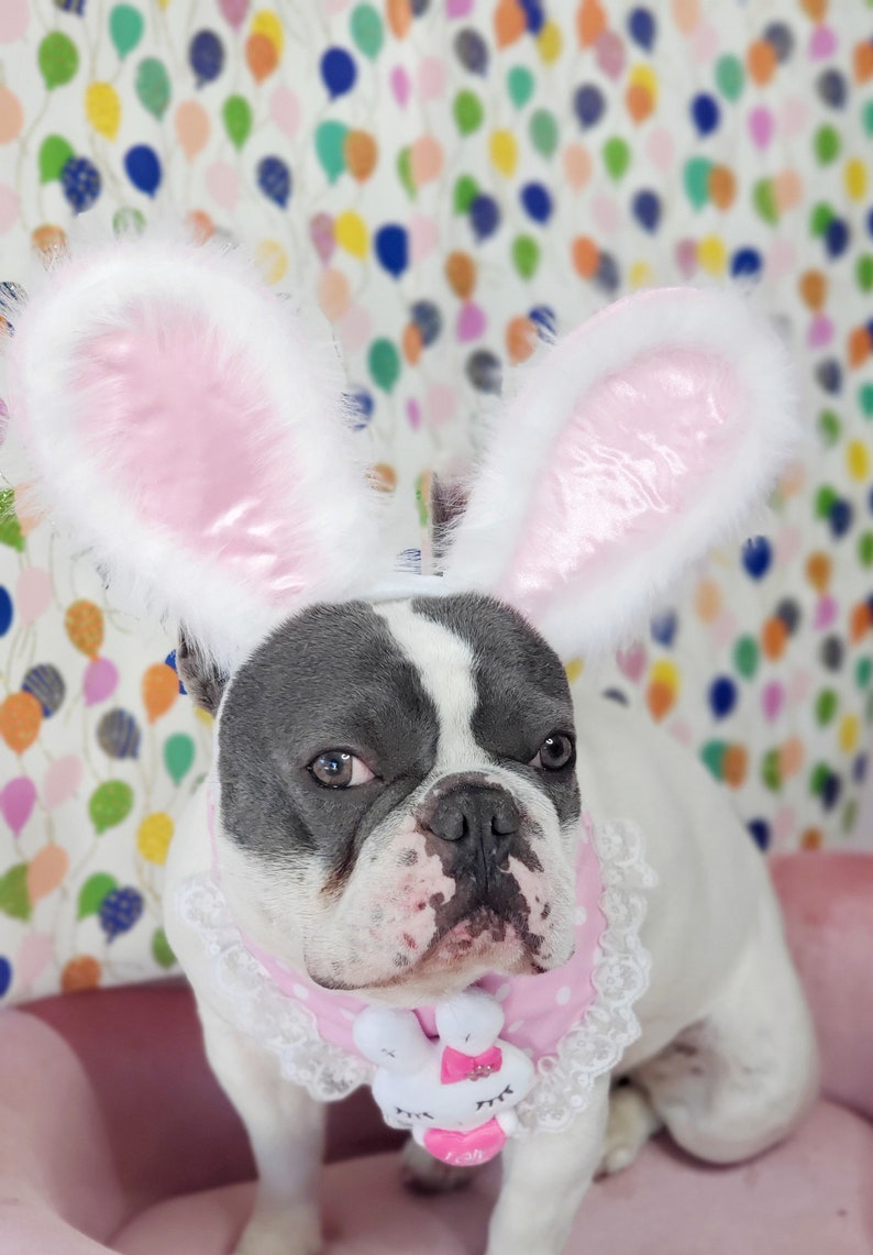 Easter Bunny headband for dog or cat /Bunny dog hat / Bunny dogs costume/ imagem 6