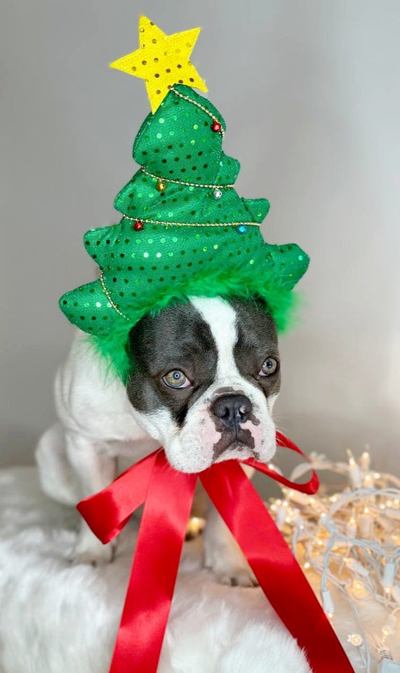 Serre-tête Bois De Renne Pour Chat & Chien - Déguisement Mignon Noël Avec Boucle Ajustable - Accessoire Photo Fêtes (Motif Élan) - 9