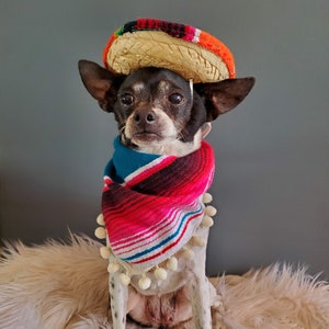 Set sombrero hat and bandanna scarf for dog or cat/ Halloween pet costume/ image 9