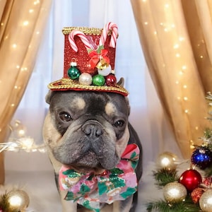 Christmas  hat red  color for  pets   /Christmas costume/Christmas dog hat /Dog costume \Gift for dogs/