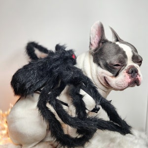 Spider costume for pets / Halloween costume/Dog costume/ image 9