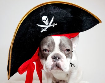 Pirate hat for large  dogs /Halloween pirate dog hat /Halloween pet costume/