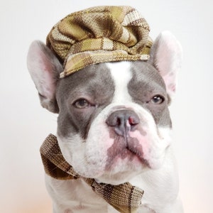 Dog Cap and Bow Tie Set, Pet Outfit image 6