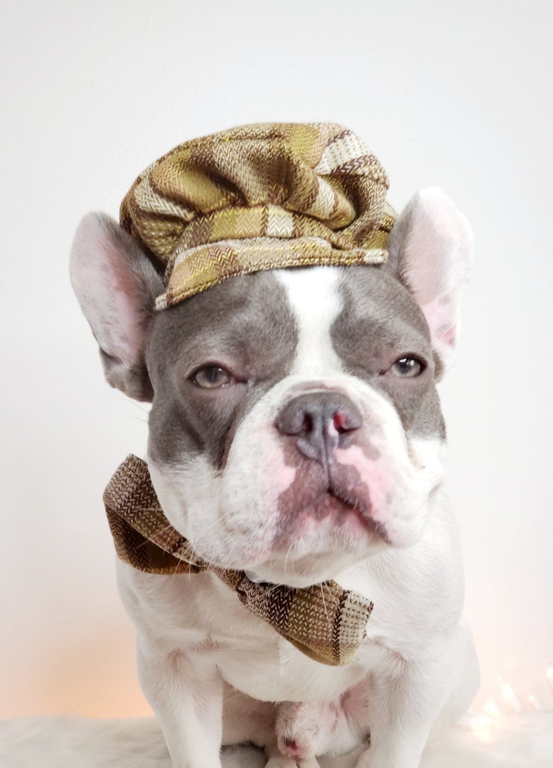 Dog Cap and Bow Tie Set, Pet Outfit image 6