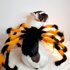 Spider costume for pets / Halloween costume/Dog costume/ image 7