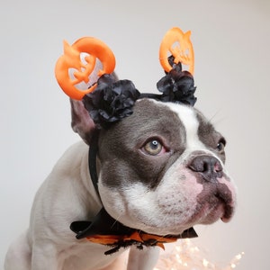 Beautiful headband and bow tie /Halloween costume/Dog costume / image 6