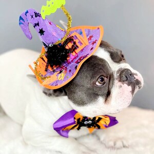 Witch hat for dog/ Black color Halloween hat with bow tie/Dog costume/Halloween costume/Cat Halloween costume/Dog costume image 4