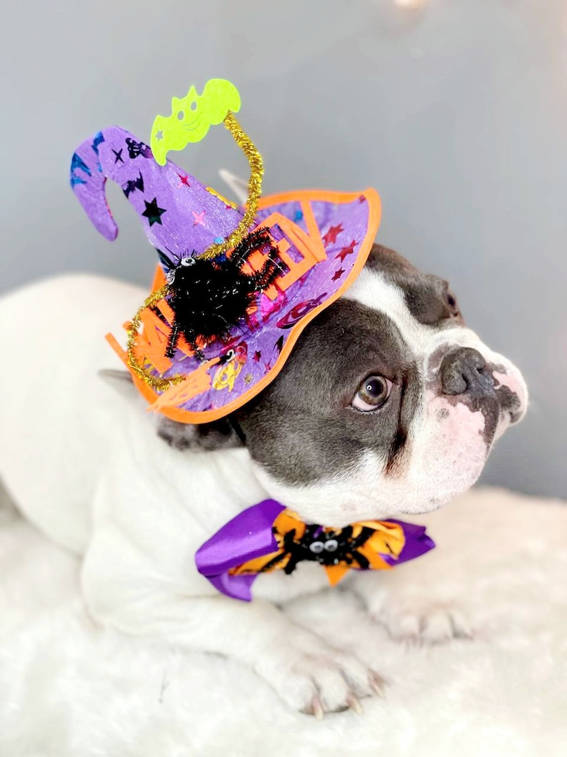 Sombrero de bruja para perro/ Sombrero de Halloween color negro con pajarita/Disfraz de perro/Disfraz de Halloween/Disfraz de Halloween de gato/Disfraz de perro imagen 4