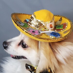 Set  hat and bow tie  Cute sombrero hat   for dog or cat