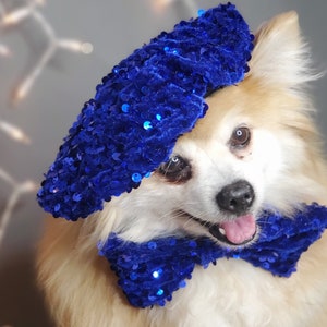 Set listing /Beret  hat   for dog or cat /Hat for dogs/Beret for dogs /