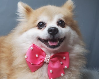 Hot pink color beaded  Bow tie  // Dog Halloween Bow //  Dog Neck Tie || Pet Bow Tie || Dog Clothes