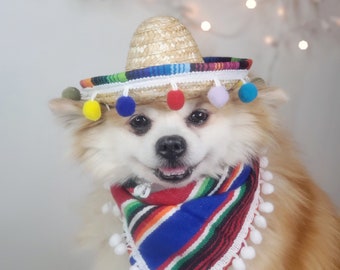 Set  sombrero hat  and bandanna scarf     for dog or cat/ Halloween pet costume/