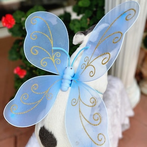 Butterfly wings for pet / Halloween costume/Dog costume/Dogs costume /