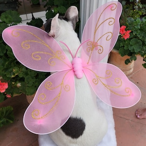 Butterfly wings for pet / Halloween costume/Dog costume/Dogs costume /