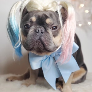 Harley quinn dog wig with Pony tails /Cute pet wig for dog or cat / Halloween pet wig / Costume dog wig /Dog costume / image 6