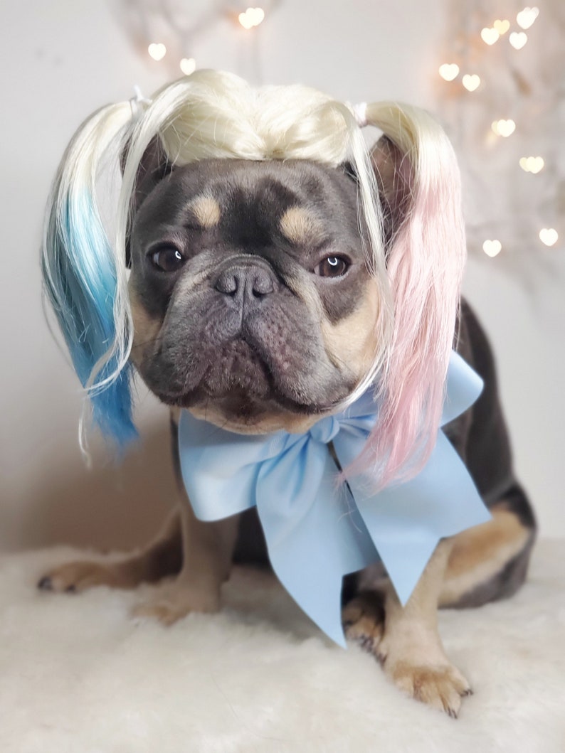 Harley quinn dog wig with Pony tails /Cute pet wig for dog or cat / Halloween pet wig / Costume dog wig /Dog costume / image 6