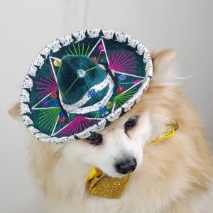 Set listing Cute sombrero  green    color hat  and  bow tie for dog or cat