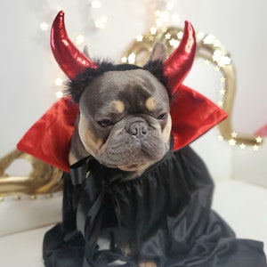 Devil headband  for large pet  hat /Halloween costume/Horns headband /Dog costume/  Pet costume/Dog costume/