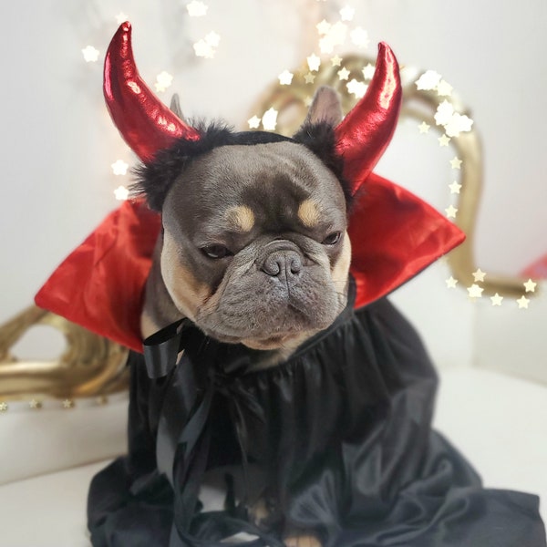 Devil hat for large pet  hat /Halloween costume/Horns hat/Dog costume/  Pet costume /Halloween hat/Dog costume/