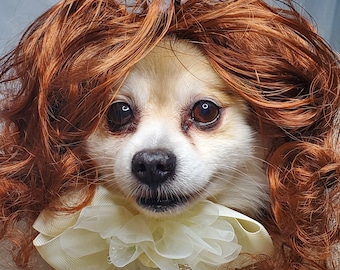 Cute pet wig for dog or cat