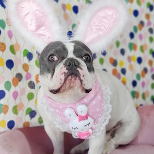 Easter Bunny headband for dog or cat /Bunny dog hat / Bunny dogs costume/ image 8