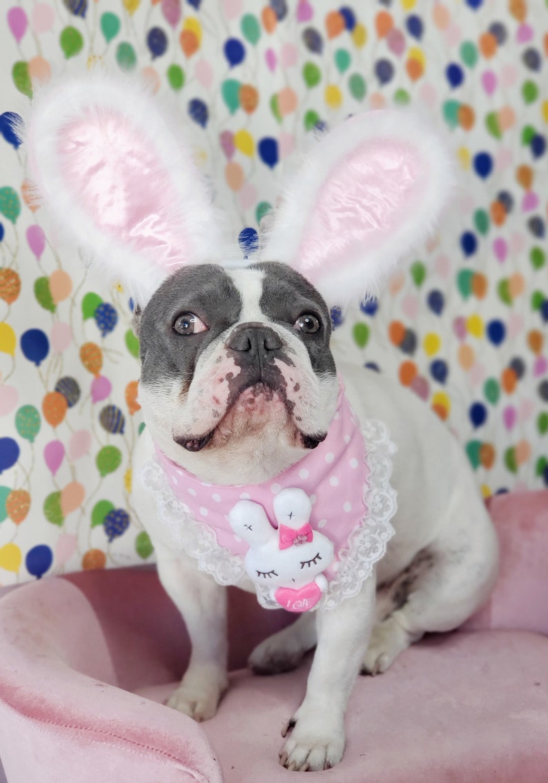 Easter Bunny headband for dog or cat /Bunny dog hat / Bunny dogs costume/ zdjęcie 8