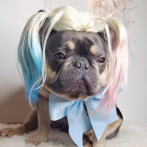 Harley quinn dog wig with Pony tails /Cute pet wig for dog or cat / Halloween pet wig / Costume dog wig /Dog costume / image 5