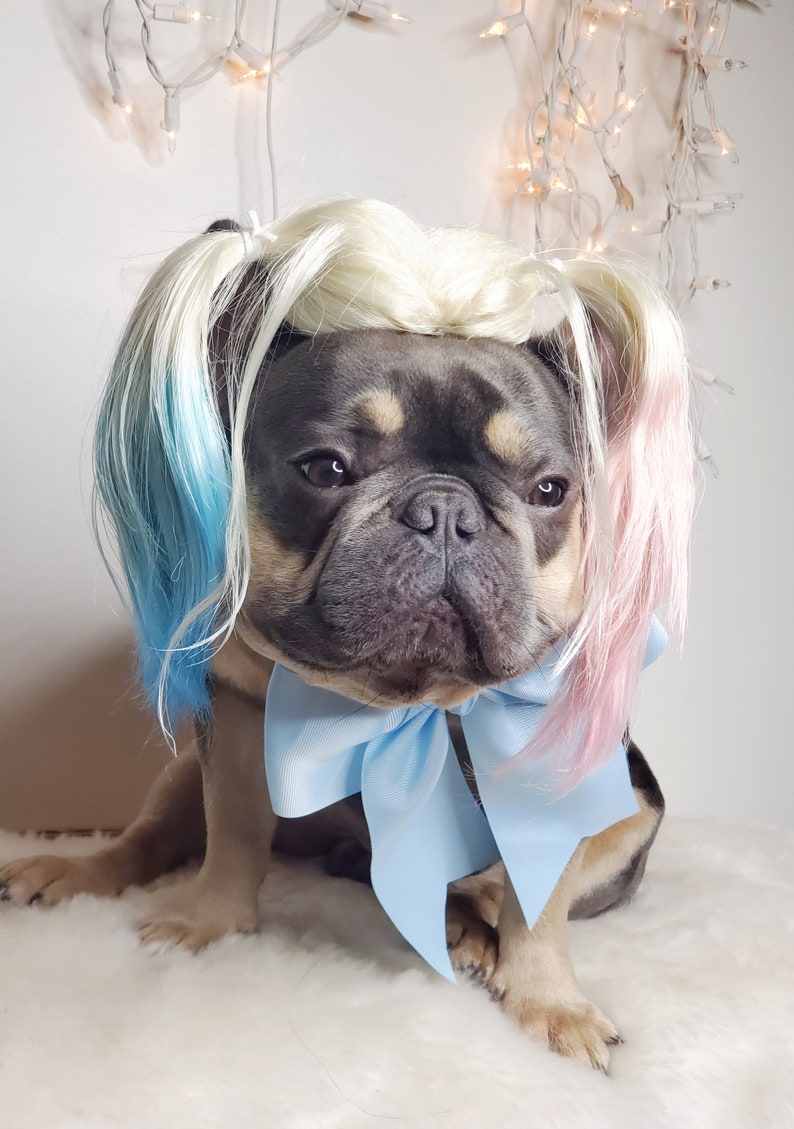 Harley quinn dog wig with Pony tails /Cute pet wig for dog or cat / Halloween pet wig / Costume dog wig /Dog costume / image 5