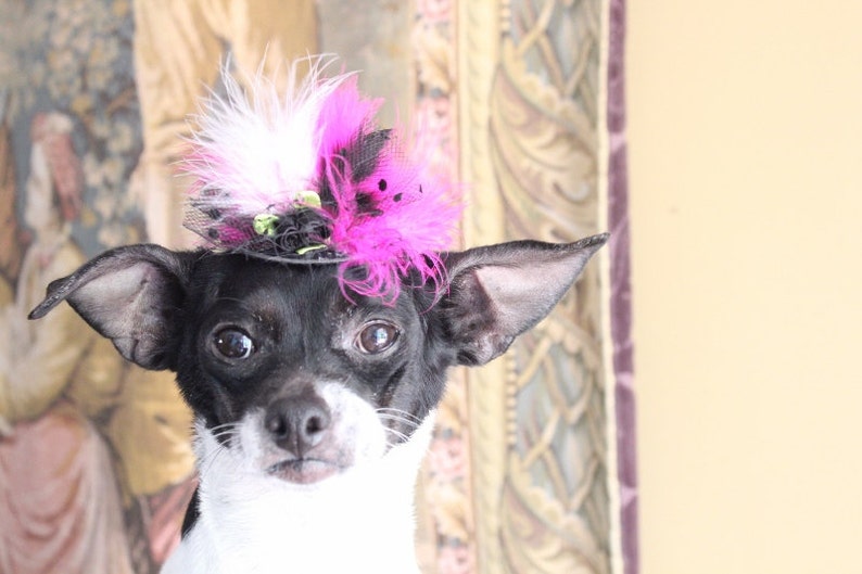 Cute black color mini hat with black pink and white color feather and flowers for dog or cat
