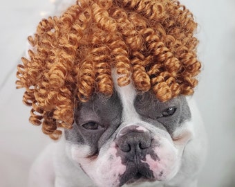 Large Size Brown Color Wig for Dog /halloween Costume Dog Wig