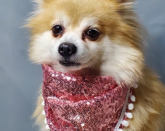 Écharpe mignonne de bandana avec la garniture blanche pour le chien ou le chat