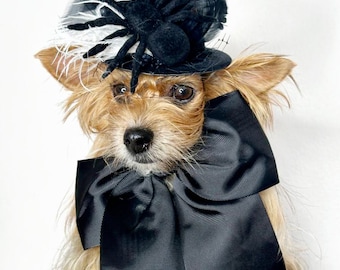 Mini sombrero color negro con pluma y araña para perro o gato
