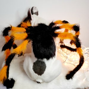Spider costume for pets / Halloween costume/Dog costume/ image 8