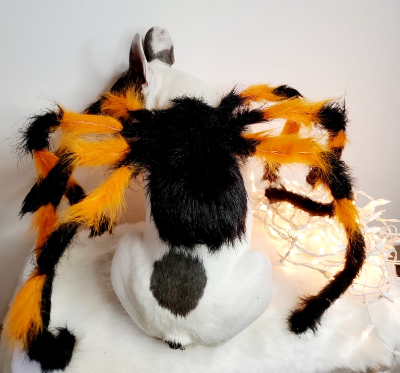 Spider costume for pets / Halloween costume/Dog costume/ image 8